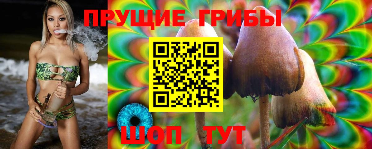 Лениногорск  Псилоцибиновые грибы ЛСД  Псилоцибиновые грибы ЛСД  Вход с VPN 