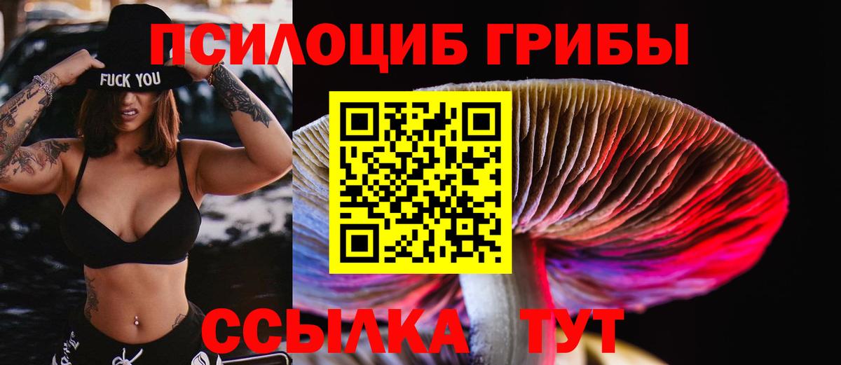 Псилоцибиновые грибы мицелий Лениногорск